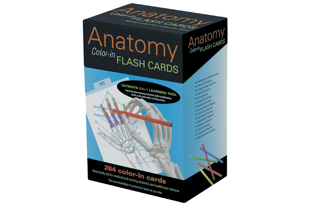 Anatomy Color-in Flash Cards