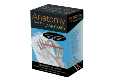 Anatomy Color-in Flash Cards